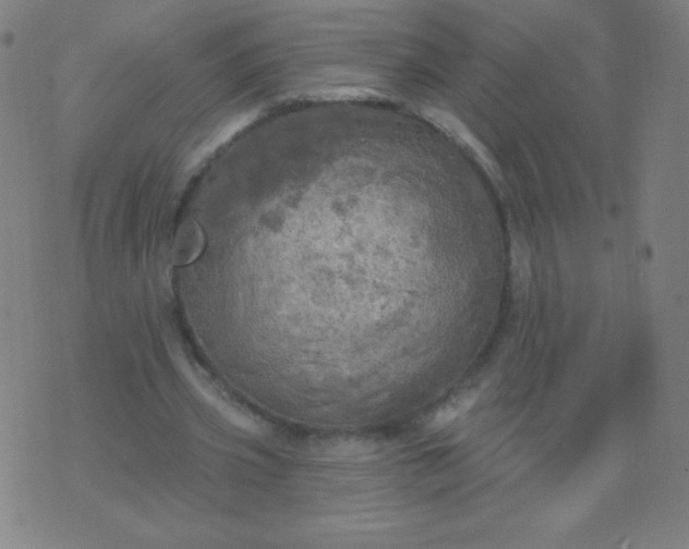 X0000070420533200606231855