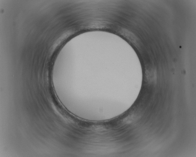 X0000070420534200606231855