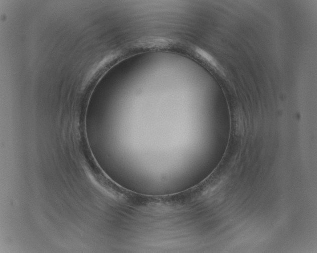 X0000070420538200606231855