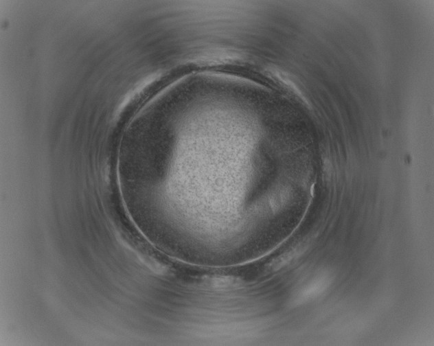 X0000070420539200606231855