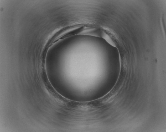 X0000070420540200606231855