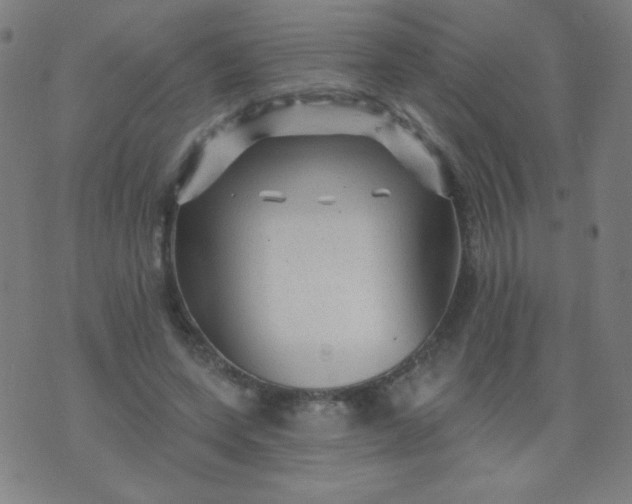 X0000070420543200606231855