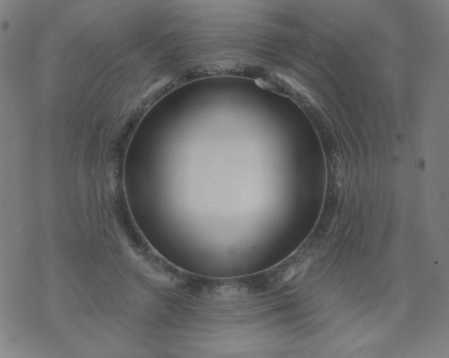 X0000070420546200606231855