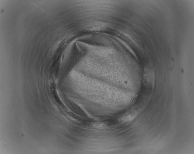 X0000070420547200606231855