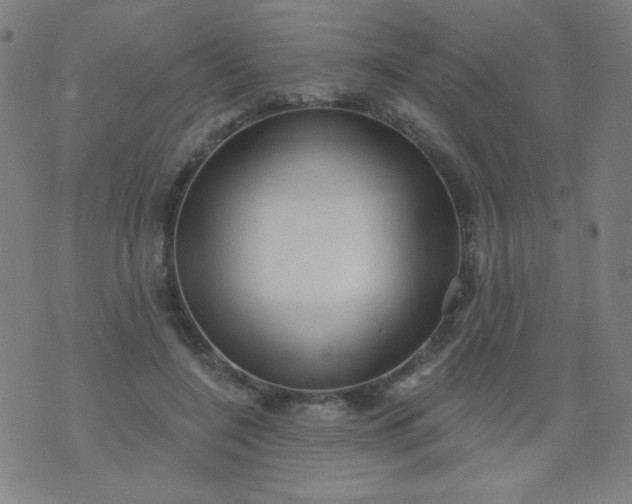 X0000070420548200606231855