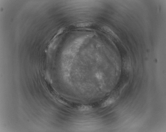 X0000070420549200606231855