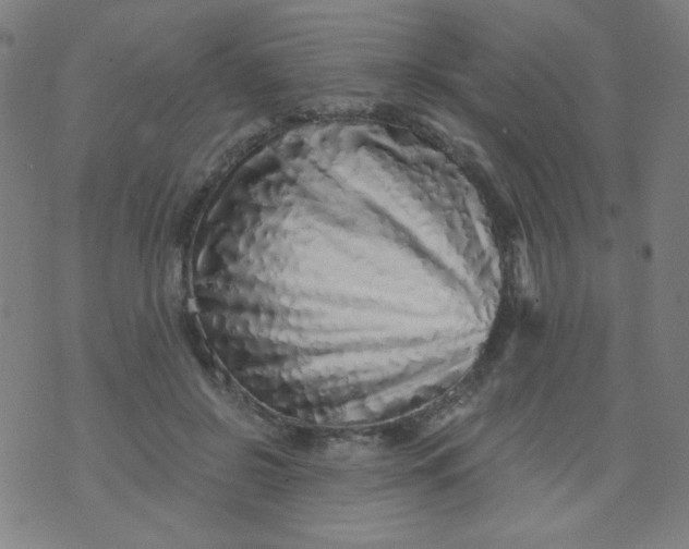 X0000070420550200606231855