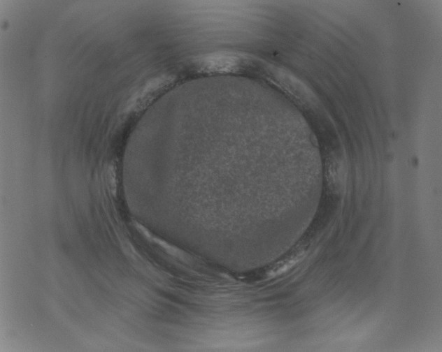 X0000070420551200606231855