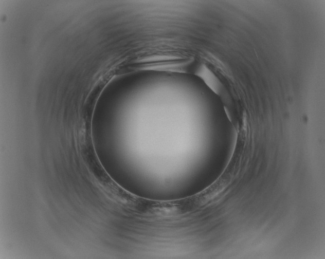 X0000070420552200606231855