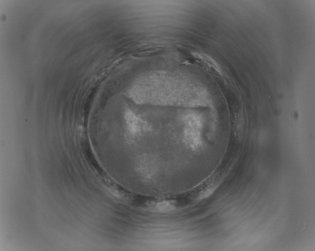 X0000070420553200606231856