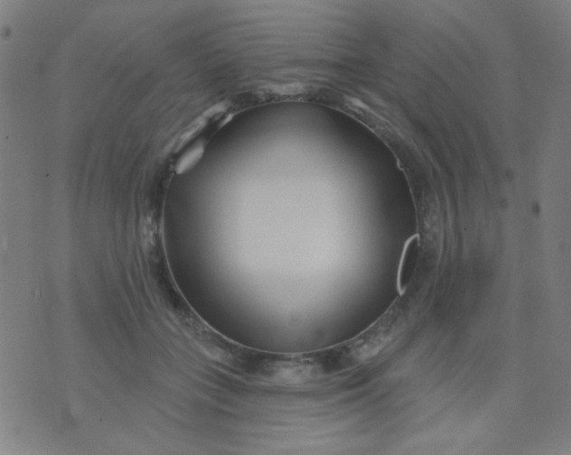 X0000070420555200606231856