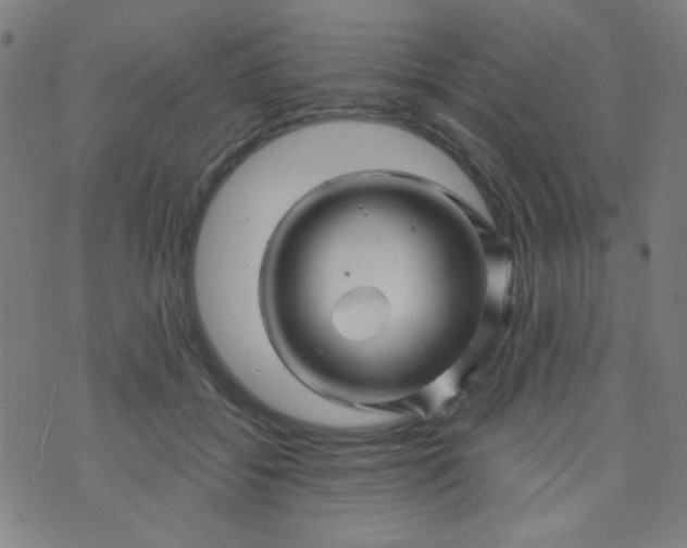 X0000070420556200606231856