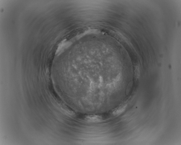 X0000070420557200606231856