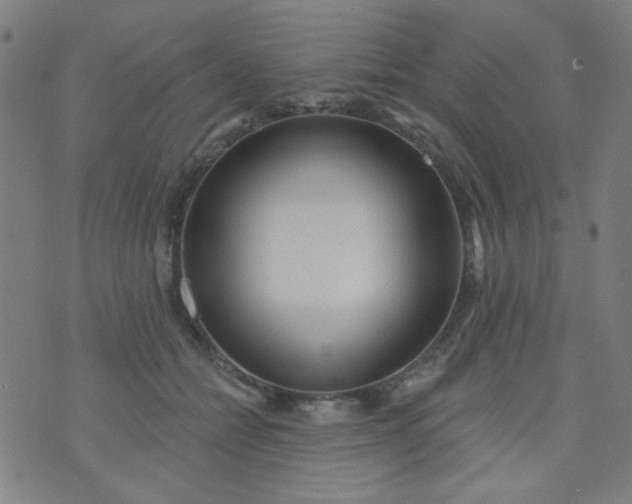 X0000070420558200606231856