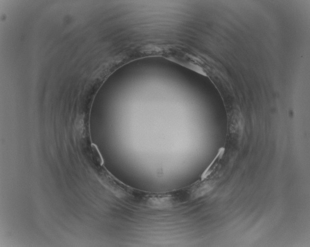 X0000070420560200606231856