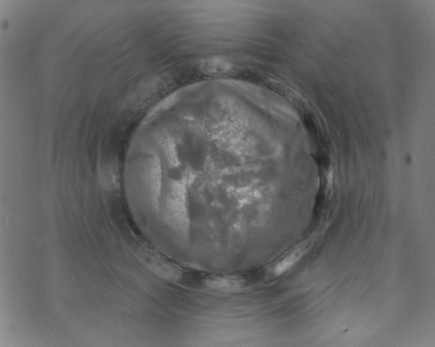 X0000070420561200606231856