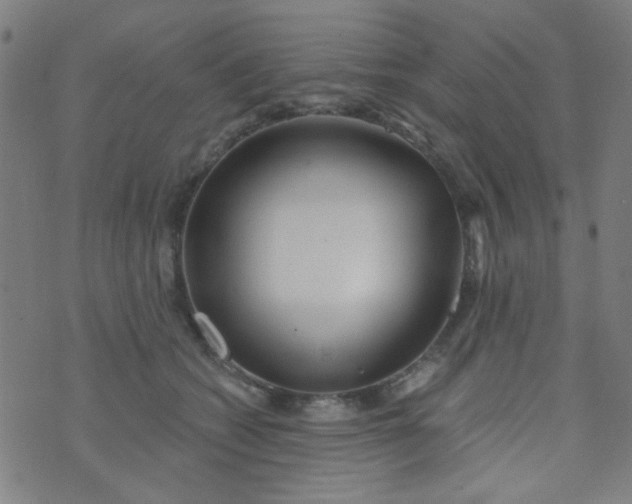 X0000070420562200606231856