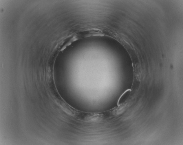 X0000070420563200606231856