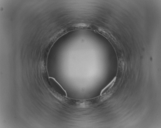 X0000070420564200606231856