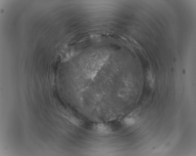 X0000070420565200606231856