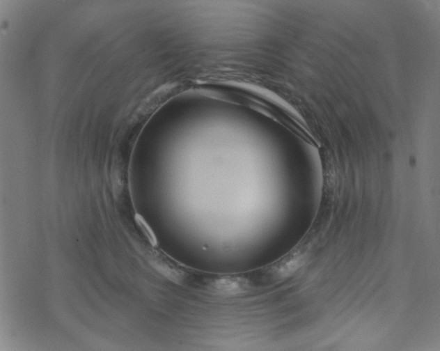 X0000070420566200606231856