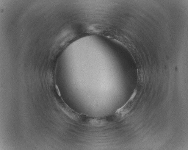 X0000070420568200606231856