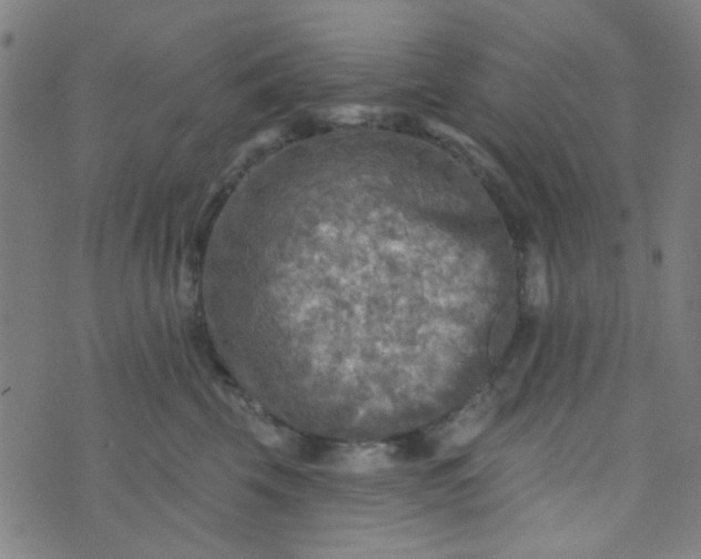 X0000070420569200606231856