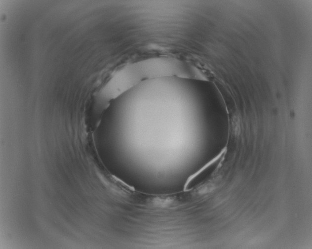 X0000070420570200606231856