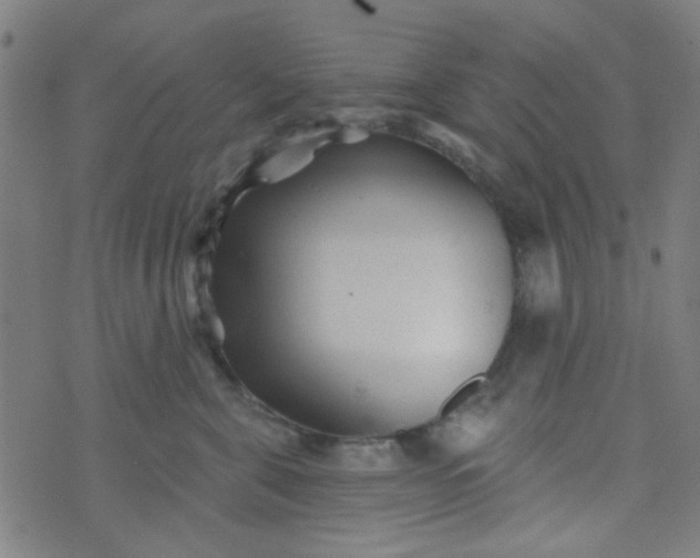 X0000070420571200606231856