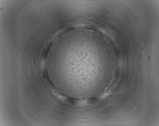 X0000070420574200606231856