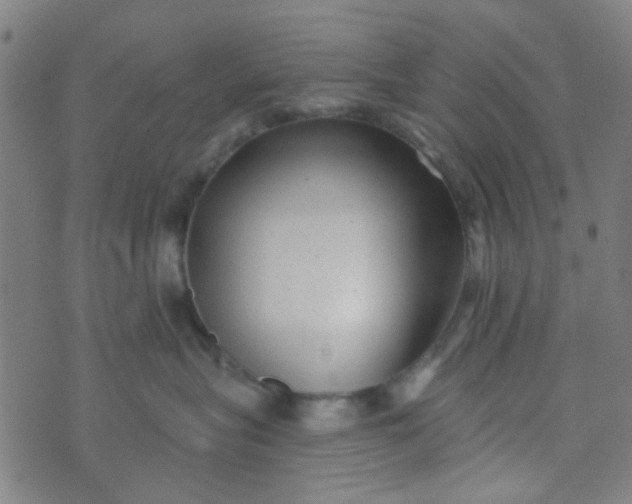 X0000070420575200606231856