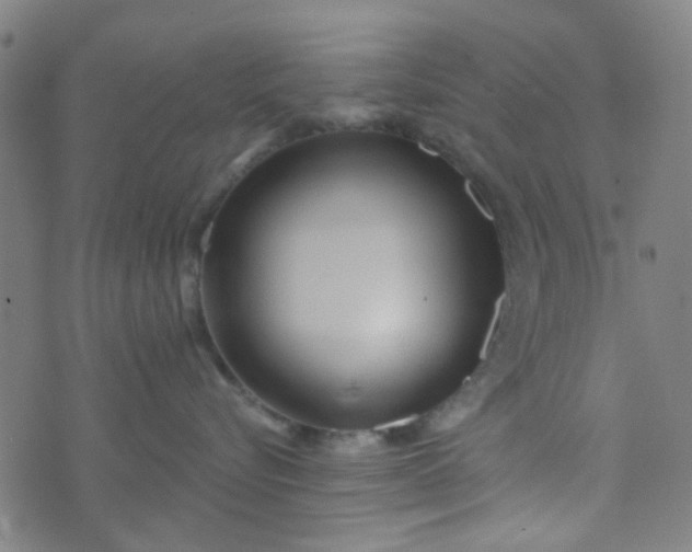 X0000070420576200606231856