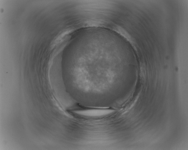 X0000070420577200606231855