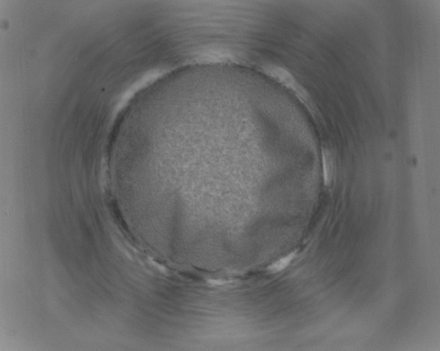 X0000070420579200606231855