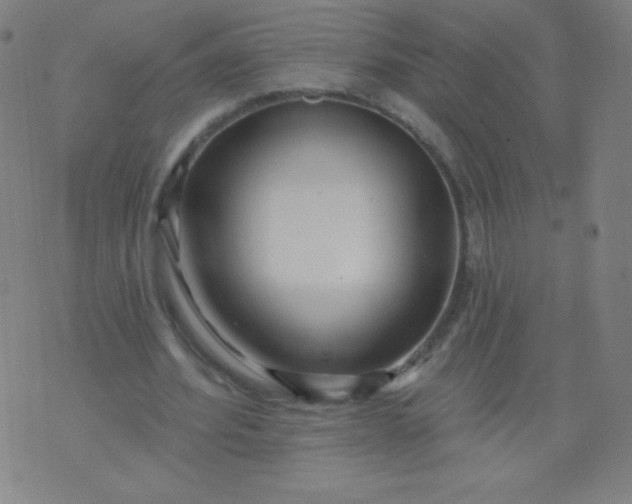 X0000070420580200606231855