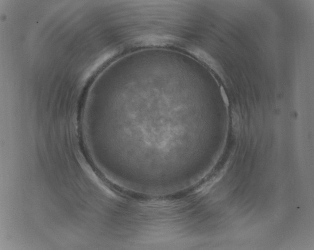 X0000070420581200606231855