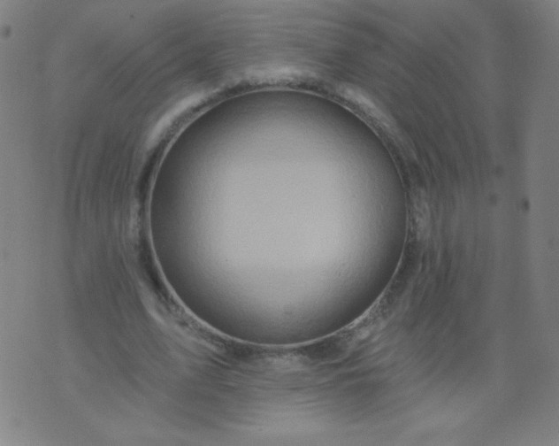 X0000070420583200606231855