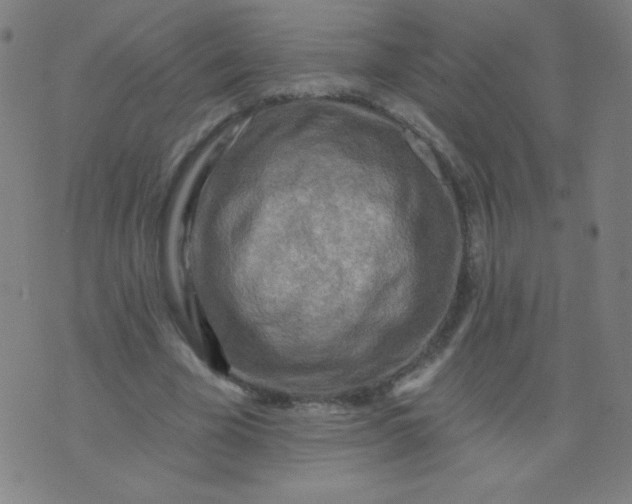 X0000070420585200606231855