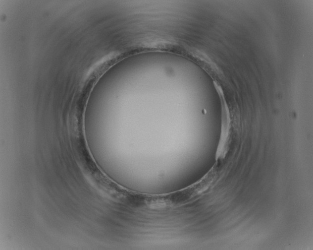 X0000070420587200606231855