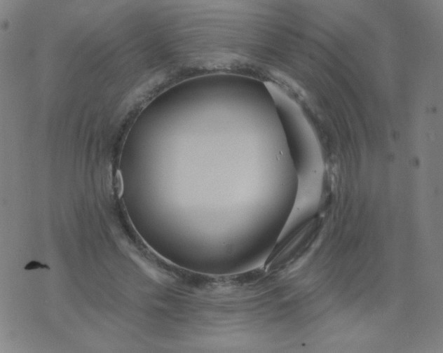 X0000070420589200606231855