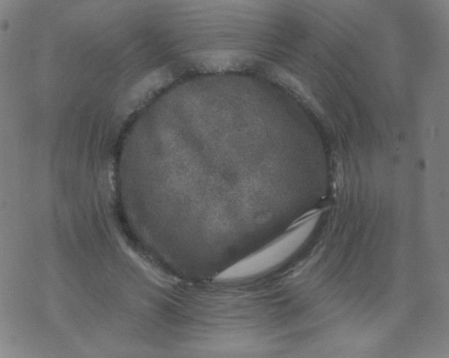 X0000070420590200606231855