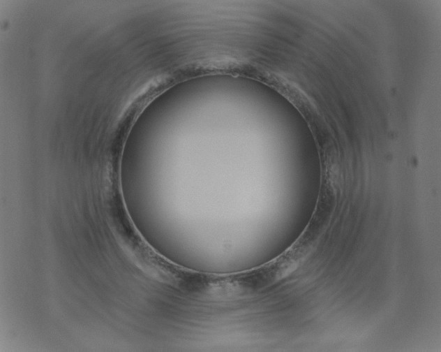 X0000070420591200606231855