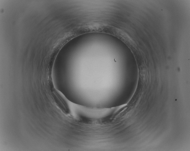 X0000070420593200606231855