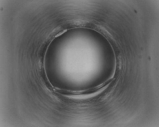 X0000070420597200606231855