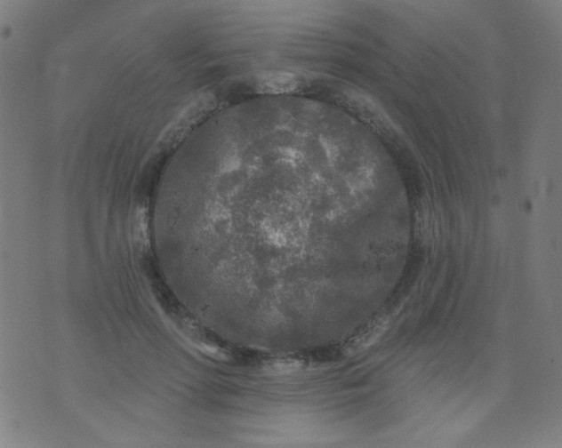 X0000070420598200606231855