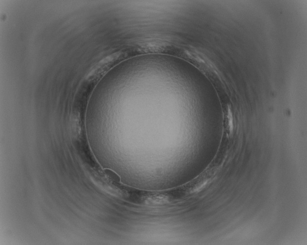 X0000070420599200606231855