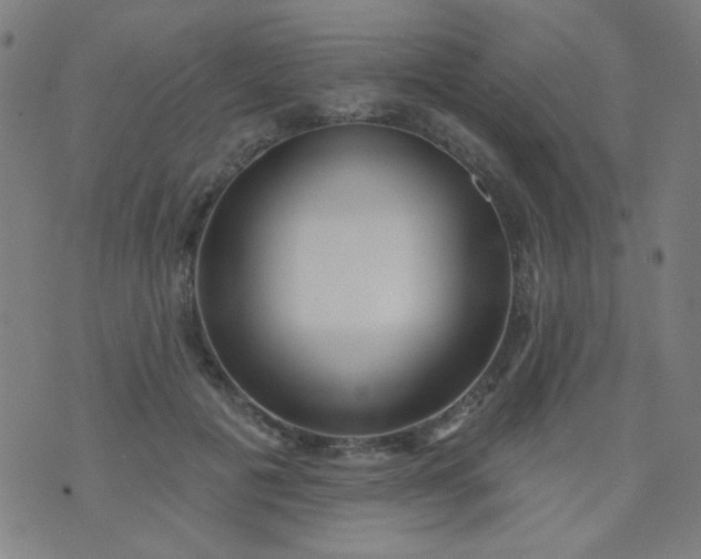 X0000070420601200606231855