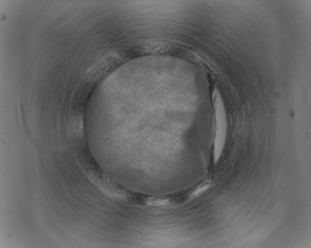 X0000070420602200606231855