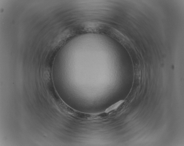 X0000070420603200606231855