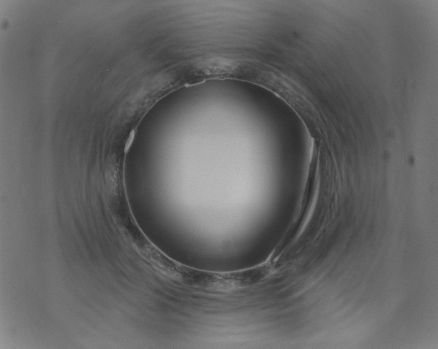 X0000070420604200606231855